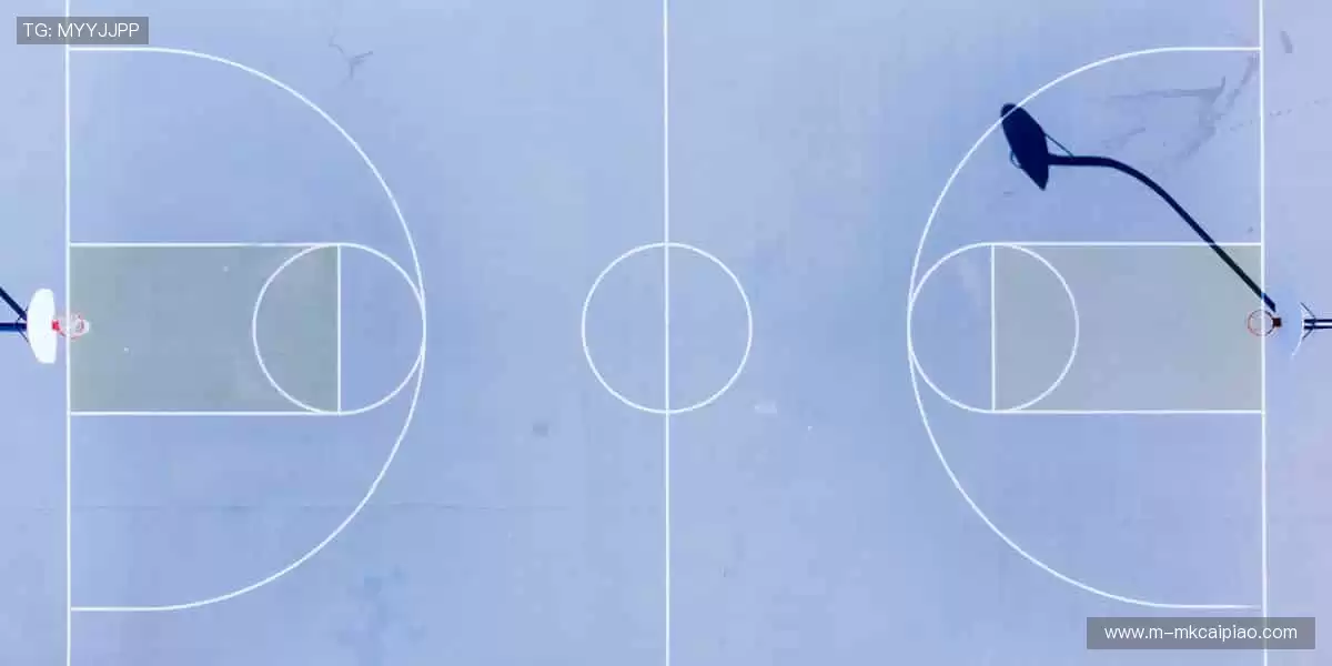 🏀 挑战极限，每一球都值得欢呼！